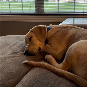 Meet your Posher, Mark